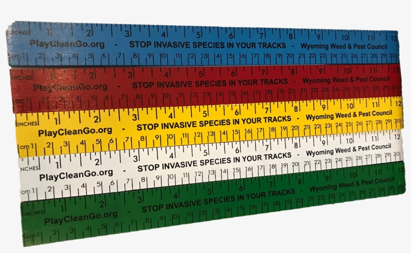 $22 - - Ruler, transparent png #610346