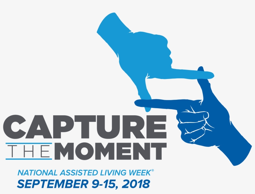 Png - Color - Graphic Design, transparent png #610808