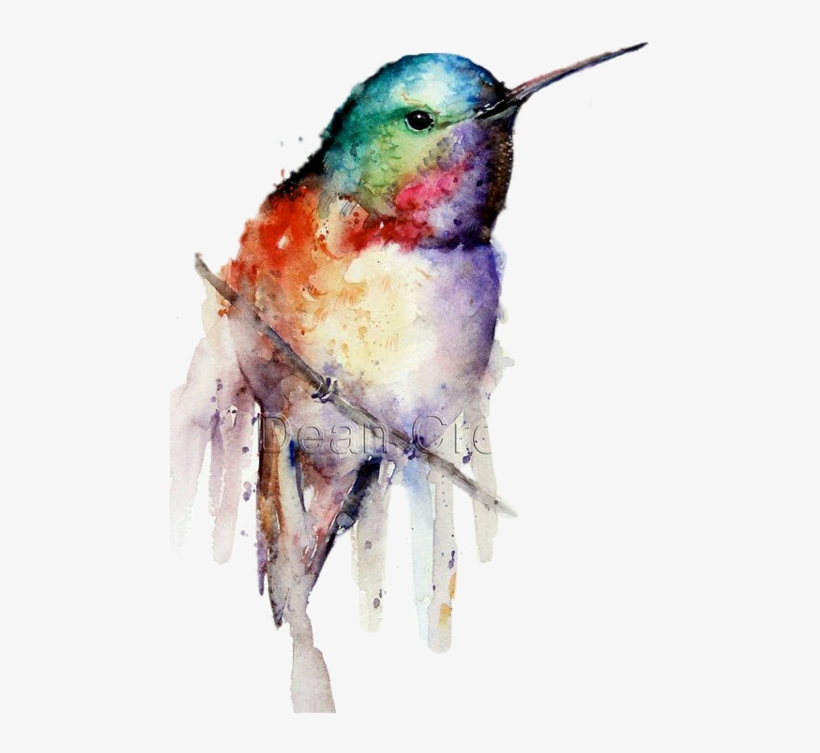 Pintura De En Oleo Colibri, transparent png #610904