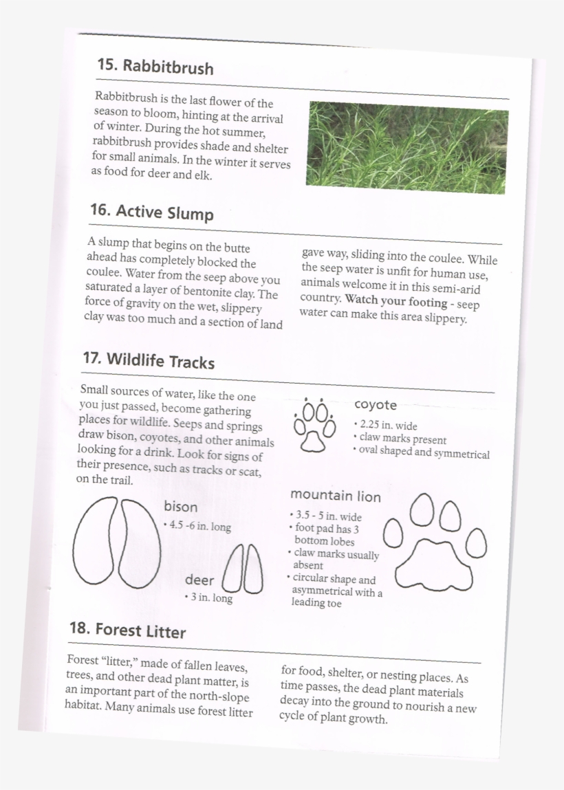 Picture1-768x1069 - Audi, transparent png #610999