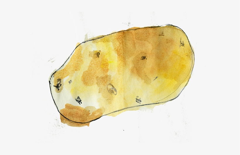 8 - 28 - 12 - Just Made A Buttload Of Mashed Potatoes - Rock, transparent png #611131