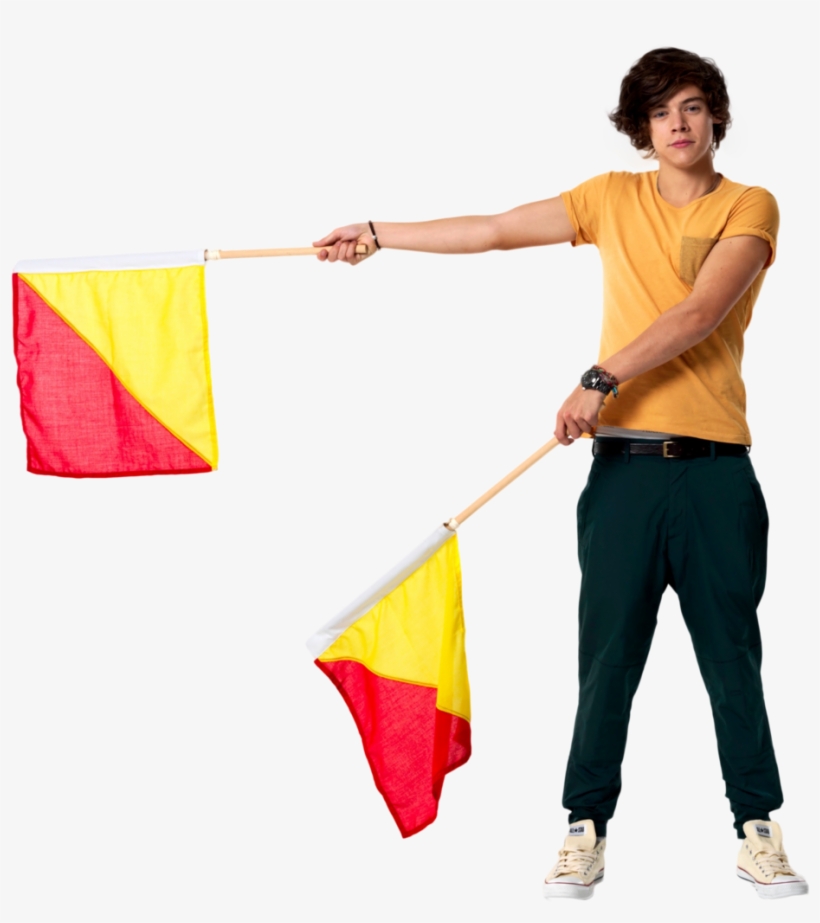 Harry Styles Png 10 By Tectos-d5t9eu6 - Flag, transparent png #611731