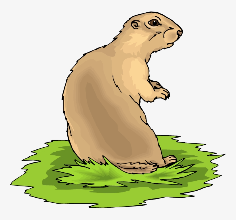 Best Prairie Dog Clip Art - Prairie Dog Clipart, transparent png #611884