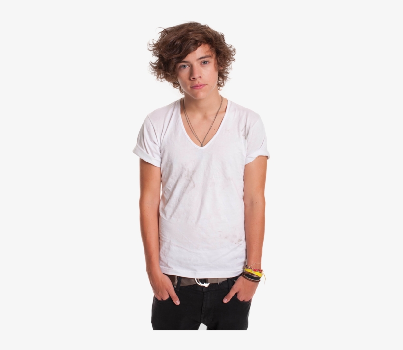 Niall Horan - Harry Styles: Photo-biography, transparent png #612177