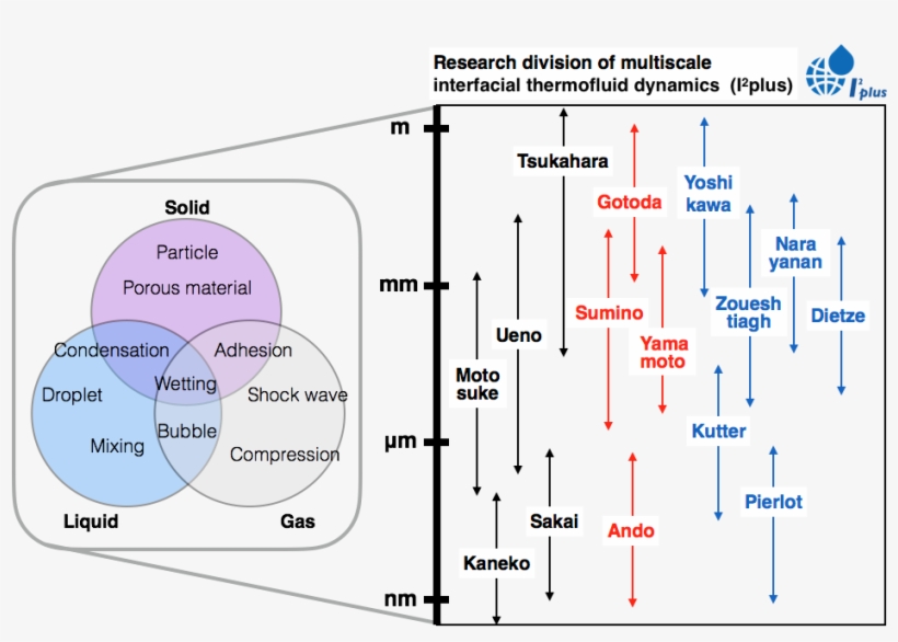 According To The Activities Of The Previous Division, - Diagram, transparent png #612330