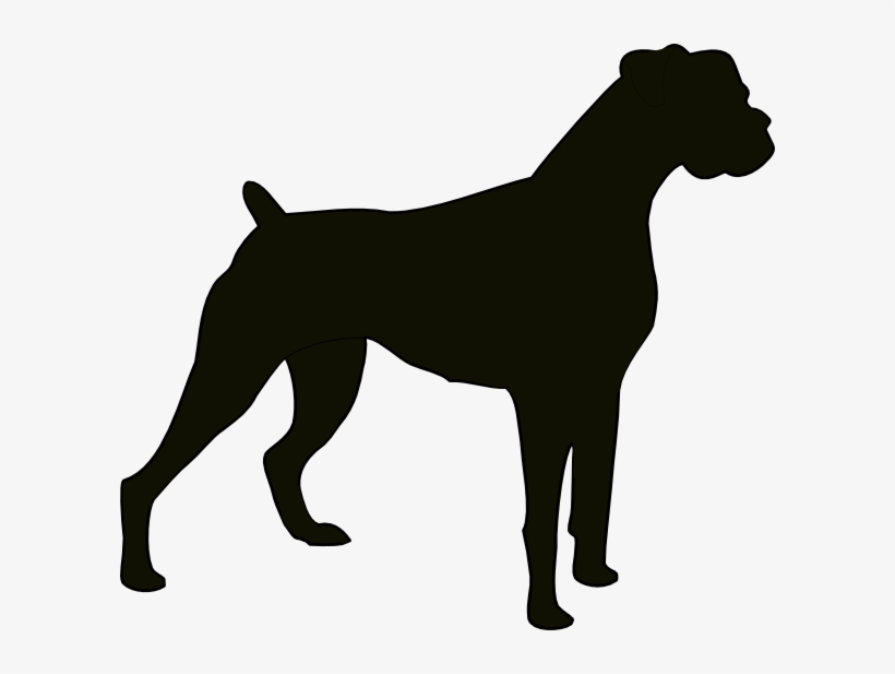 Similar Cliparts - - Boxer Dog Silhouette Vector, transparent png #612507