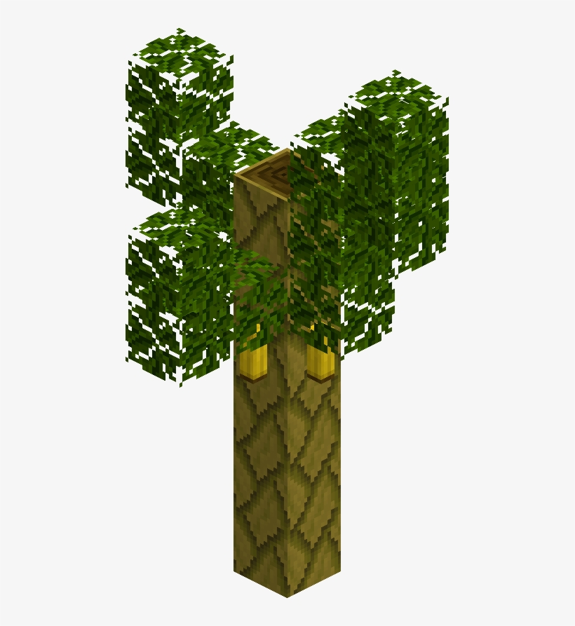 Bananatree - Wiki, transparent png #612697