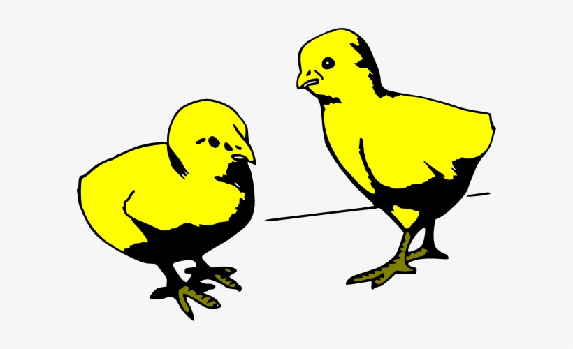 Cartoon Baby Chicks Gif, transparent png #613379