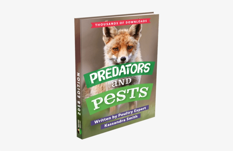 Download Ebook - Frag Den Fuchs!: Der Weg Zu Ruhe, Kraft Und Wohlgefühl, transparent png #613428
