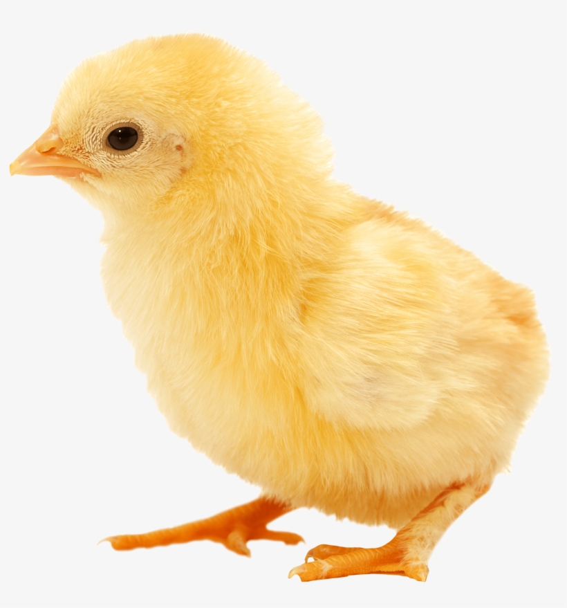 Previous - Next, transparent png #613455