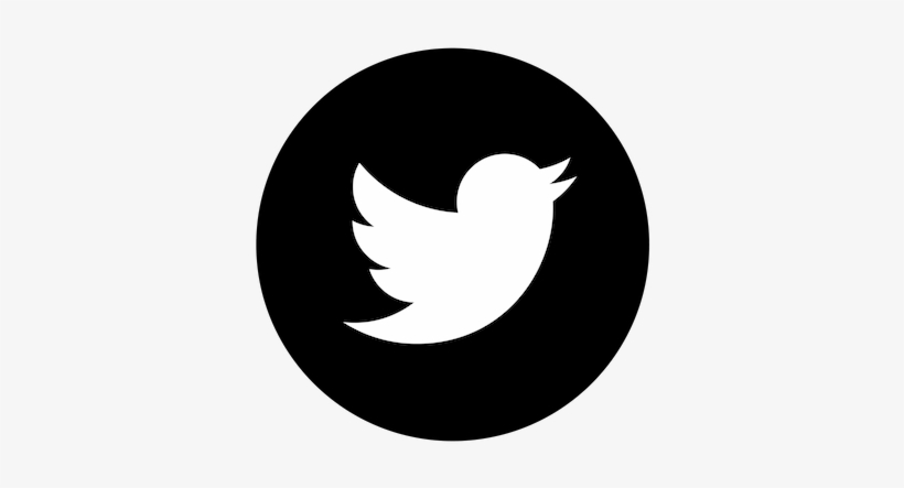 Twitter - Right Arrow Png Logo, transparent png #613999