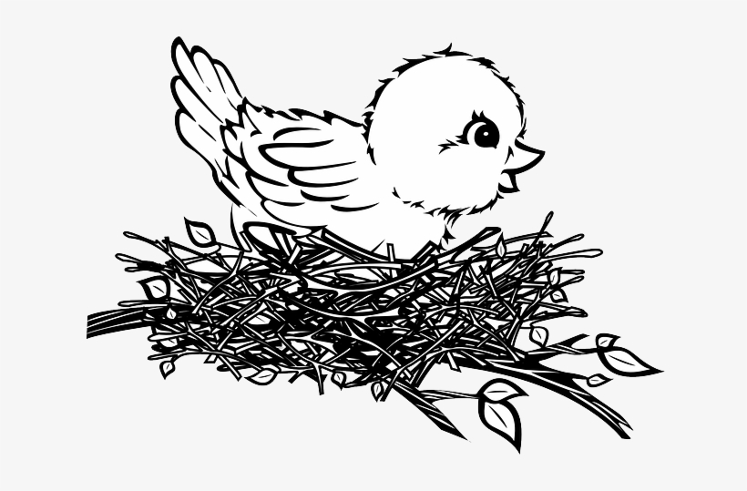 Baby, Drawing, Bird, Art, Chick, Nest - Bird In Nest Clip Art, transparent png #614022