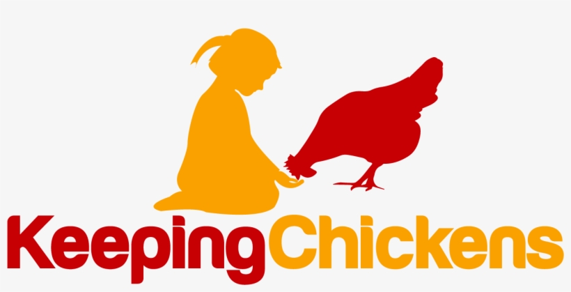 Raising And Keeping Chickens - Chicken, transparent png #614326