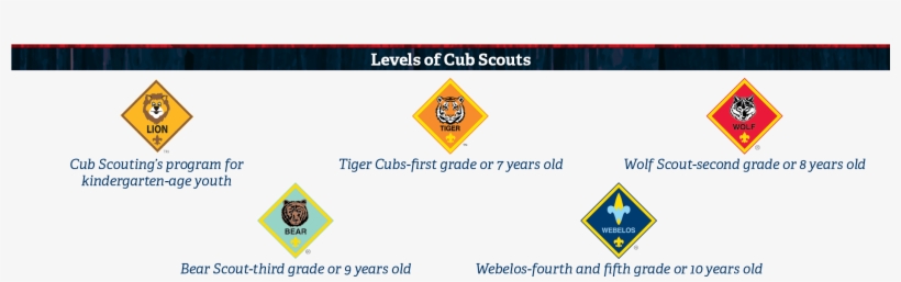 The Cub Scout Program Is Designed To Develop Physical, - Cub Scouting, transparent png #615577