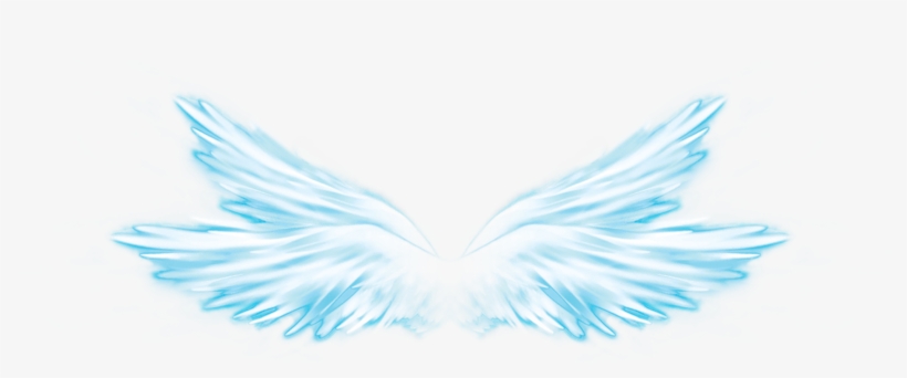 Photoshop Overlays, Photoshop Elements, Photoshop Actions, - Wings Overlay Png, transparent png #616256