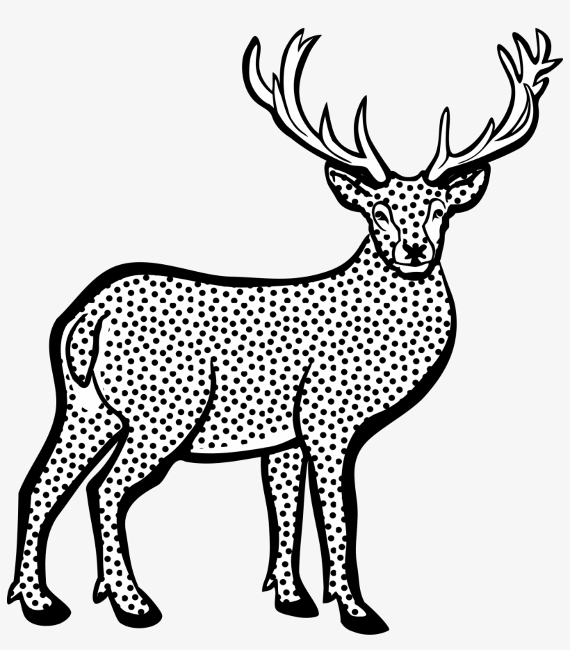 White Tailed Red Clip Art Transprent Png - Line Art Of Deer - Free Transpar...