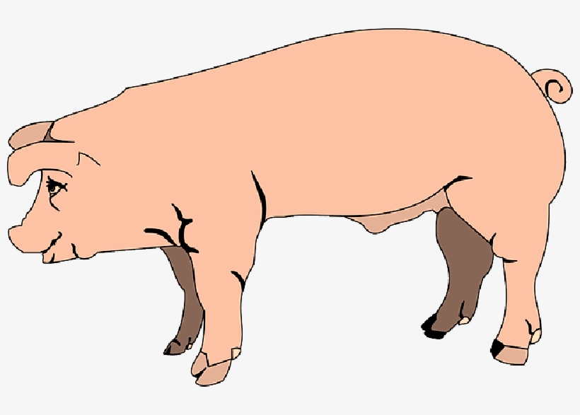 Barn, Farm, Pink, Pig, Side, Animal, Mud, - Pig Cartoon Side View, transparent png #616794