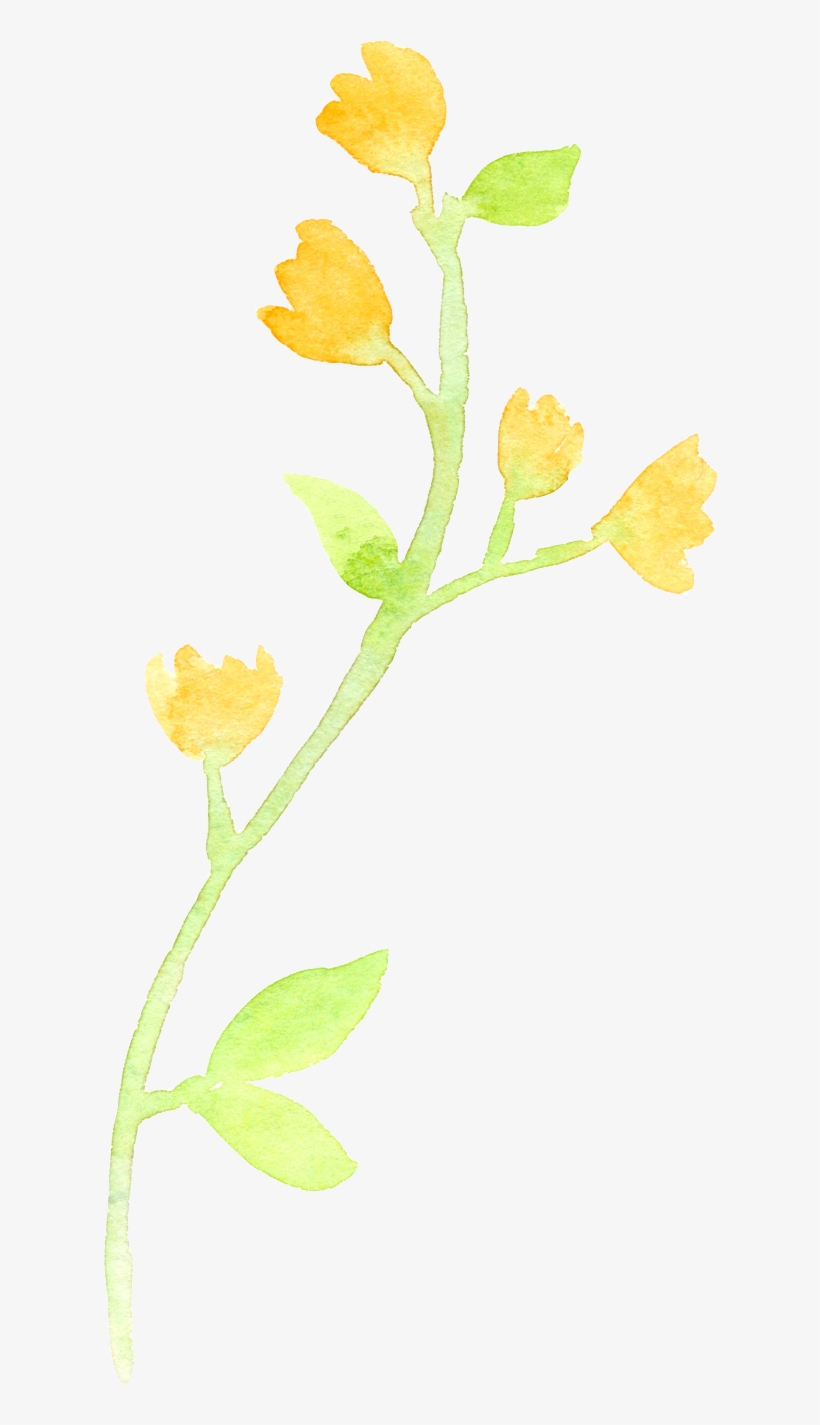 0℃素材13 - Rock Rose, transparent png #617346