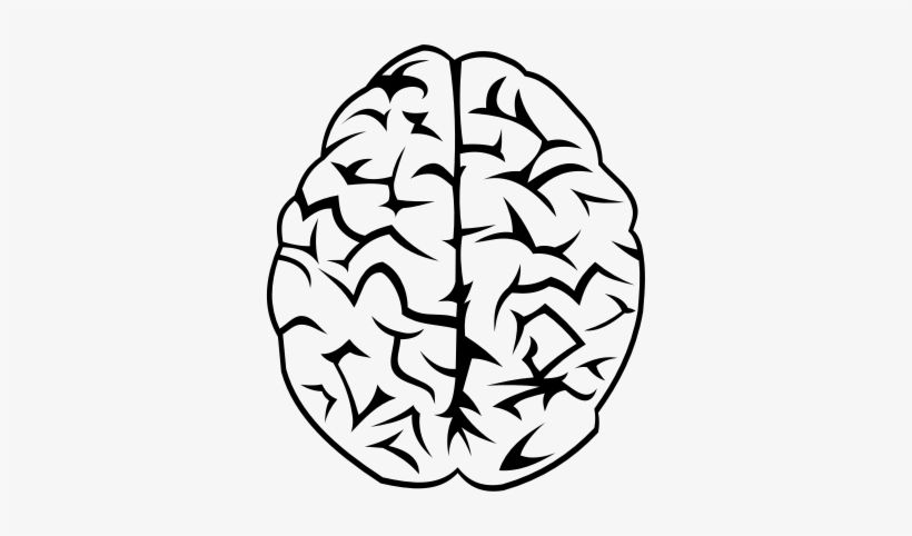 This Free Icons Png Design Of Brain Vector Free - Free Transparent PNG ...