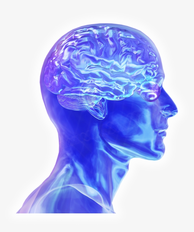 Colorado Neurological Institute - Brain Power Png, transparent png #617801