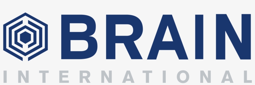Brain International Logo Png Transparent - Brain Vector, transparent png #617863