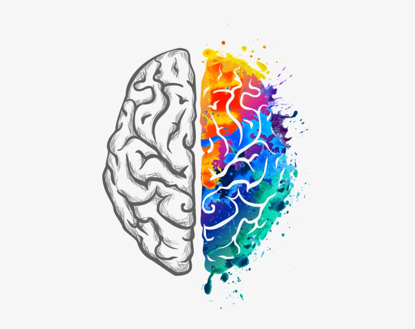 Home - Brain Hemispheres Tattoo, transparent png #618040