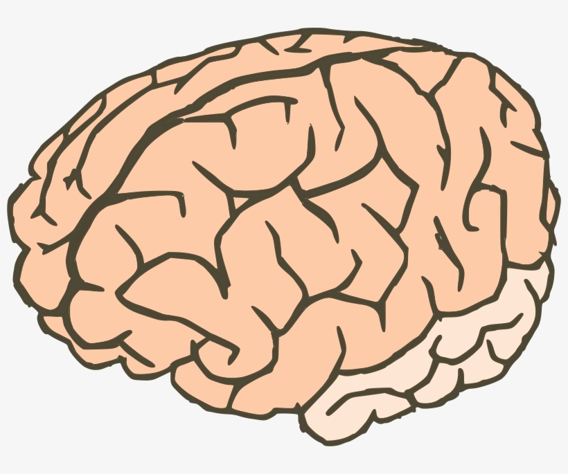 Knowledge Clipart Knowledge Brain - Workings Of An Idle Mind: A Collection Of Short Stories, transparent png #618078