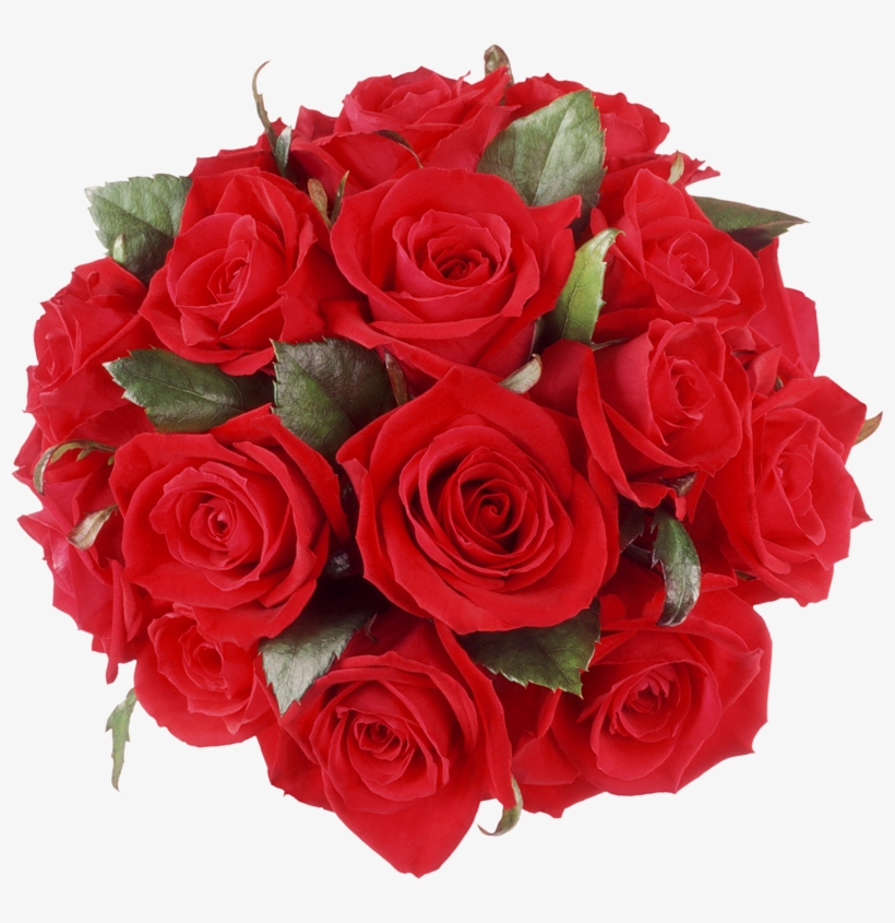 Happy Birthday Roses Flower Wishes, transparent png #619437