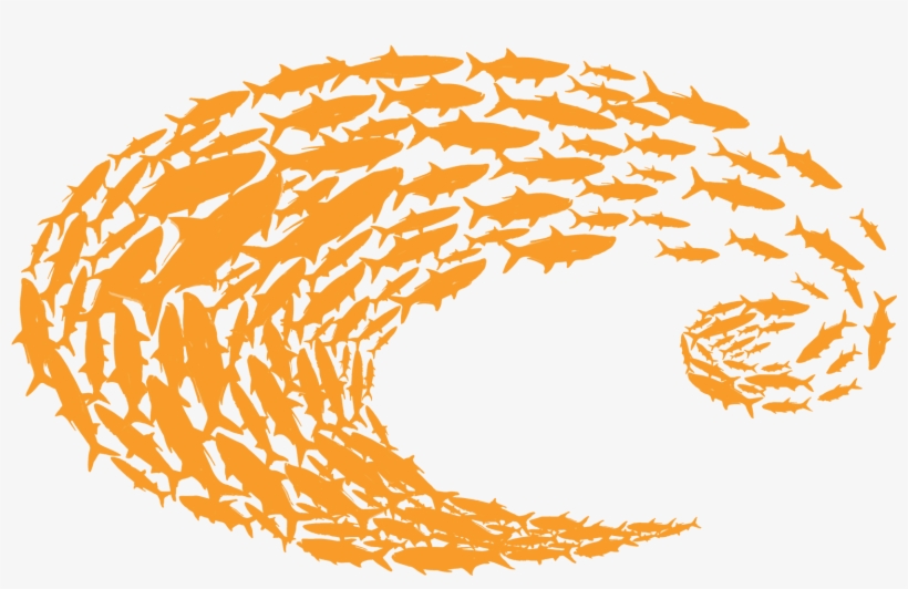 Costa Orange Logo Schoolin Decal - Costa Del Mar Logo, transparent png #6101003