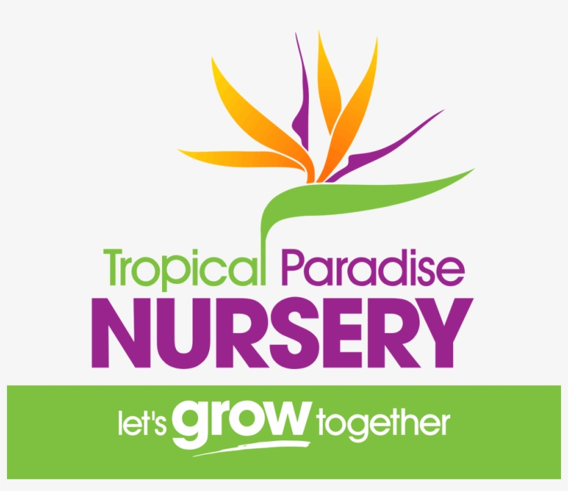 Tropical Paradise Nursery - Nursery Plant Logo Png, transparent png #6101971