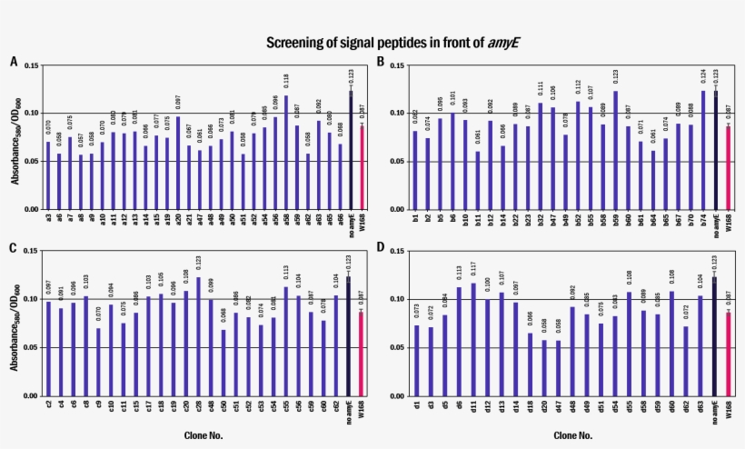 Screening Of Signal Peptides In Front Of Amye - Diagram, transparent png #6102822