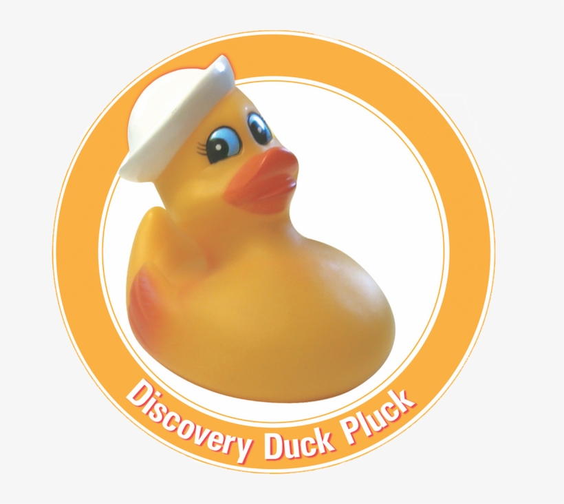 The All-american Discovery Duck Pluck To Happen On, transparent png #6103960