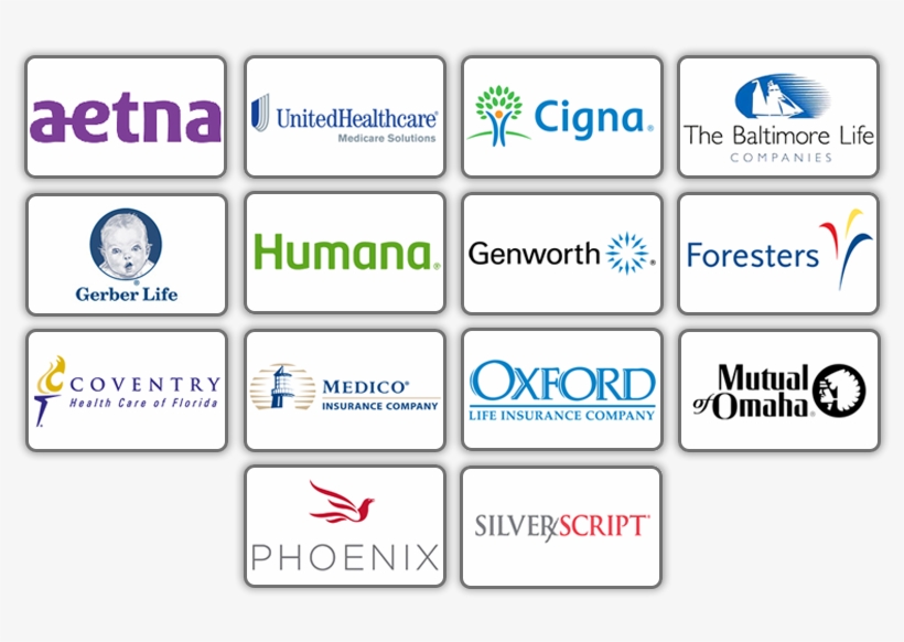 Image - Organization, transparent png #6104062