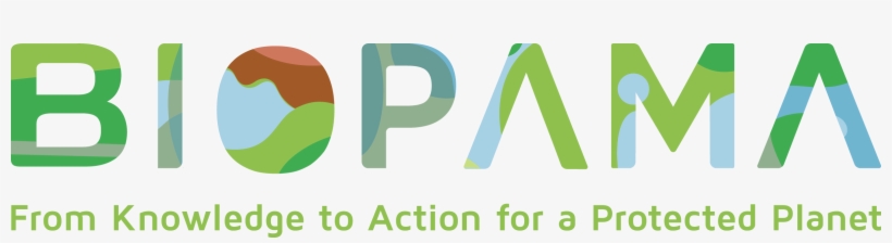 Join Us On Yammer - Knowledge, transparent png #6104721