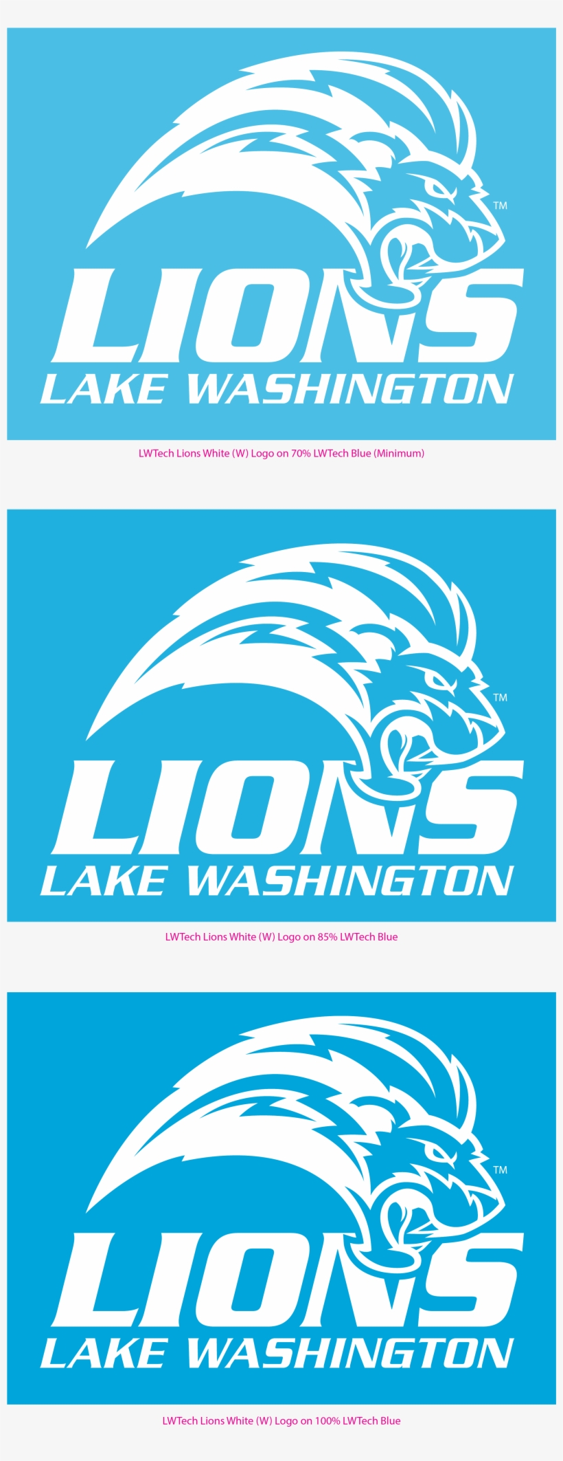 Lwtech Lions Acceptable Logo Color Variations Lwtech - Logo, transparent png #6105173