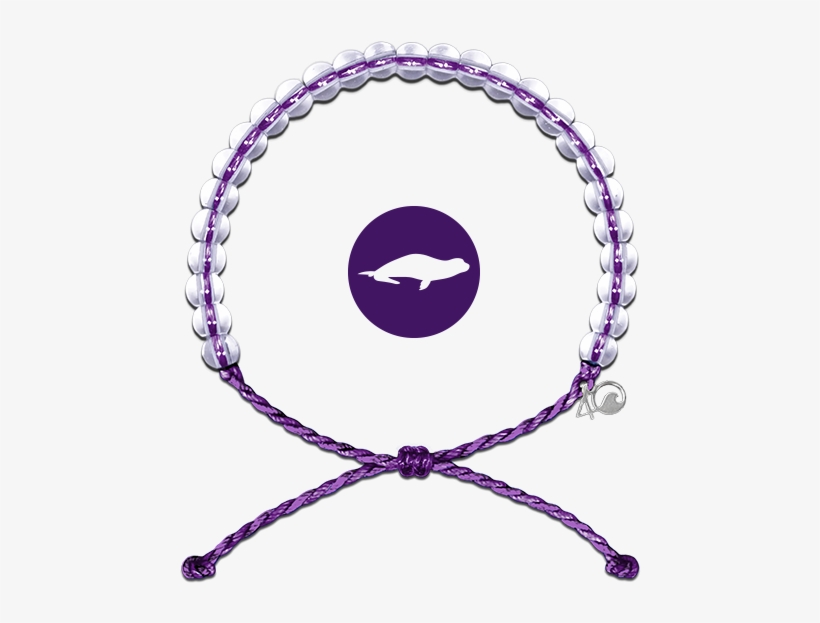 Hawaiian Monk Seal Bracelet - 4ocean Bracelet, transparent png #6107952