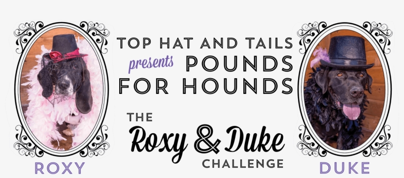 Pounds For Hounds - Bank Of Montreal, transparent png #6108362