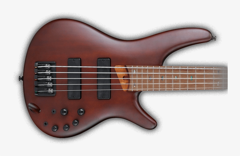 With Its Continued Popularity, Ibanez Is Constantly - Guitar, transparent png #6109078