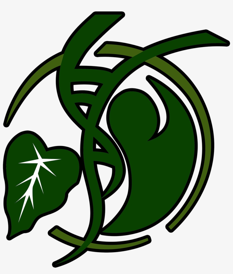 Bruins Logo Outline - Health, transparent png #6116536