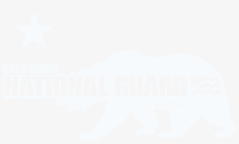 Website Designed & Built By 100% Pure Racing, transparent png #6116843