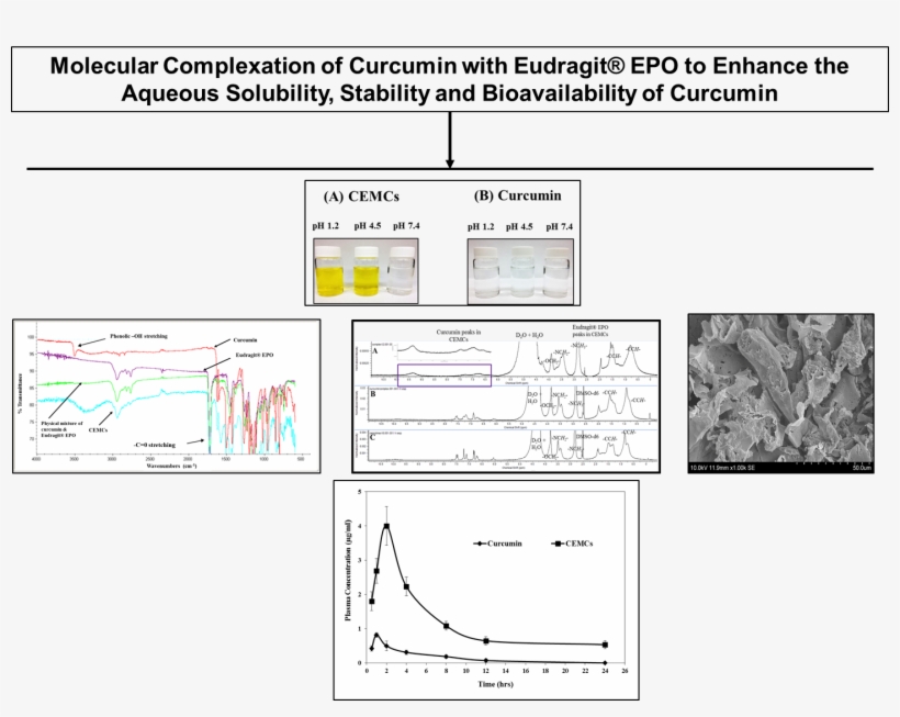 Authors Are Thankful To The Department Of Pharmaceutical - Diagram, transparent png #6117554
