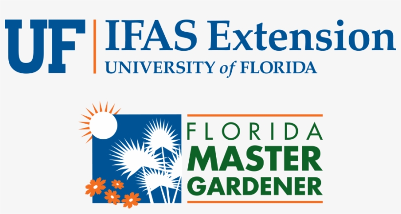 Uf/ifas Master Gardener Logo Stacked Color Small - University Of Florida Master Gardening, transparent png #6119607