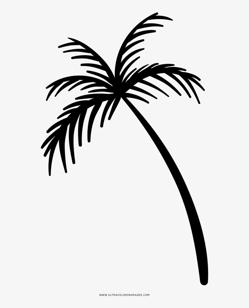 Coqueiro Icon Png, transparent png #6120296