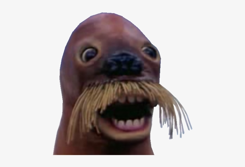 Https - //image - Noelshack - Com/minis/2017/05/ - Pingu Walrus, transparent png #6122249