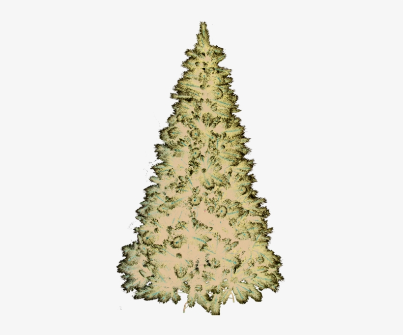 Christmas Tree Montreal - Christmas Tree, transparent png #6127117