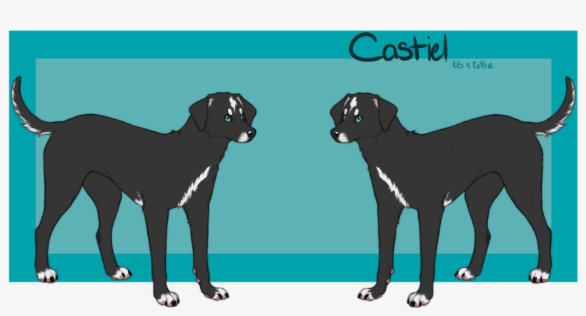 Dog Catches Something, transparent png #6130698