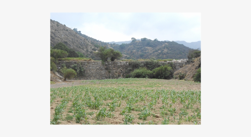 Front View Of A Wall In The Interior Of A Dam - Dam, transparent png #6131471