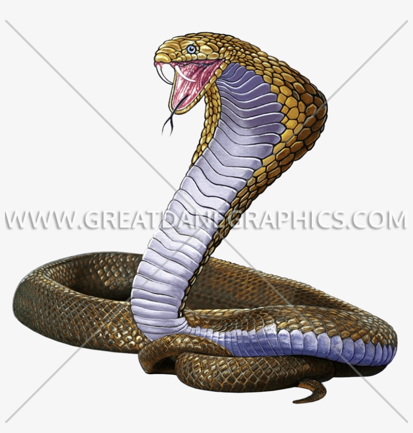 Mascot Production Ready Artwork For T Shirt - King Cobra Snake Coiled Ready For Attack Spare Tire, transparent png #6132091