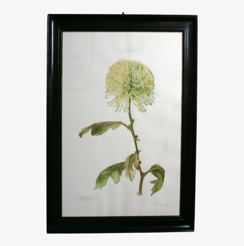 Framed Watercolour, 34 X 24 Inches, £195, transparent png #6134429