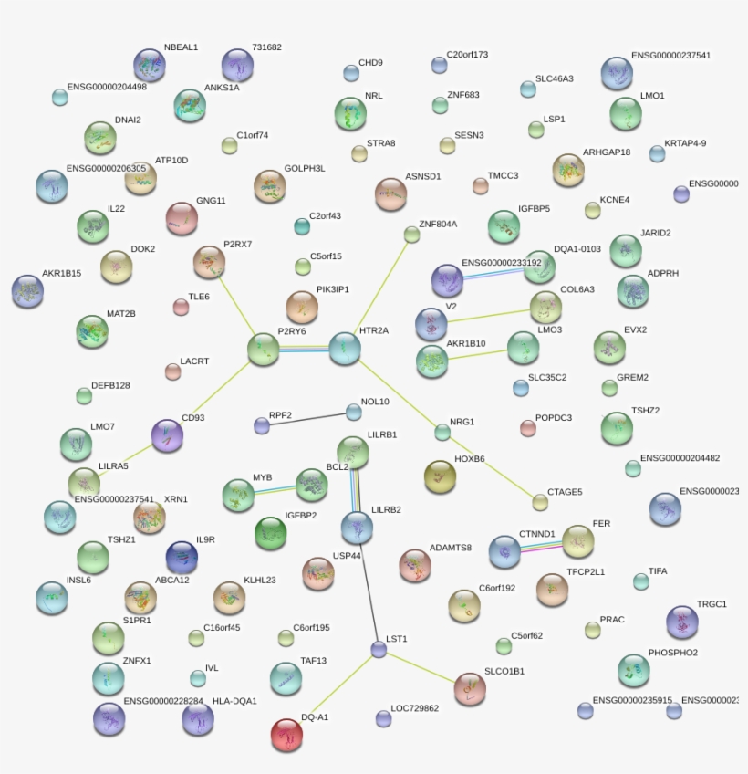 Network Of Associatons Between Targets According To - Circle, transparent png #6135477